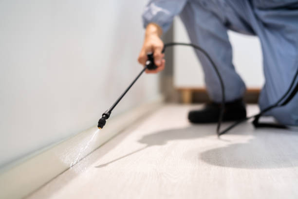 Licensed Termite Control service in Alton, IL - Nex Pest Control