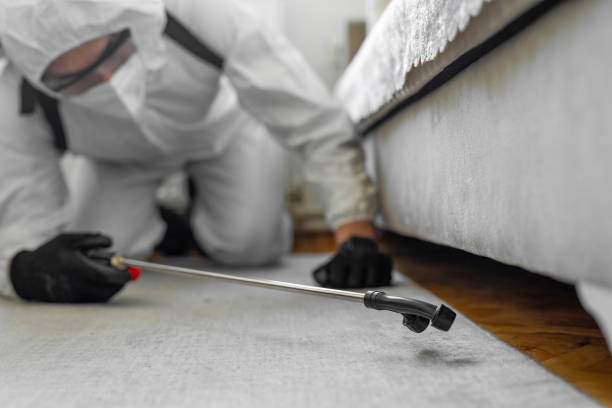 Professional Termite Control technician working in Alton, IL