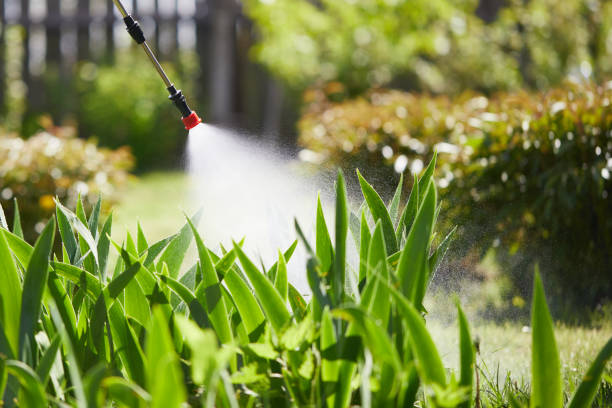 24/7 Emergency Termite Control experts in Alton, IL