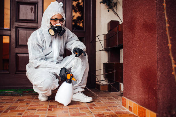 Reliable Termite Control contractor in Alton, IL by Nex Pest Control