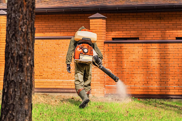 Top rated local Termite Control specialists in Alton, IL